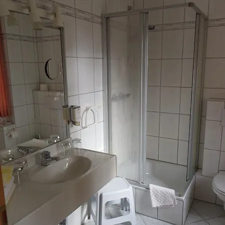 Отель Wenzels Hof 3*