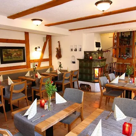 Wenzels Hof Отель Zwethau