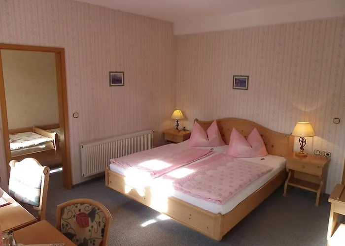 Wenzels Hof 3* Zwethau